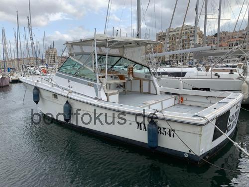 Topaz 36 technische daten